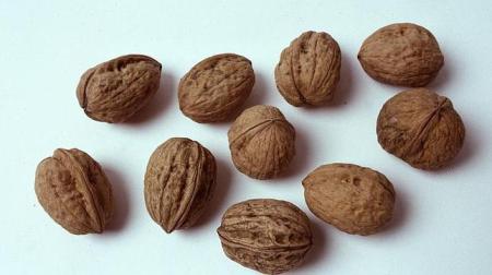 alimentos-previenen-depresion--644x362