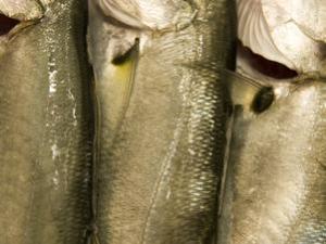 grasas no saturadas, foto Thinkstock