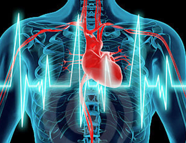 golpe-de-corazón-humano