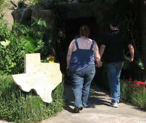 obesidad en mediana edad