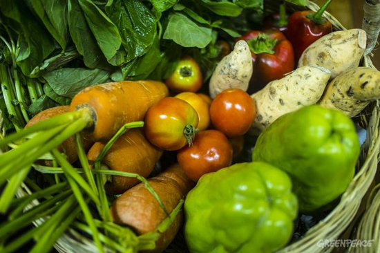 © Greenpeace / Luis Liwanag 