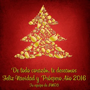El equipo del IMEO os desea Feliz Navidad y Próspero 2016