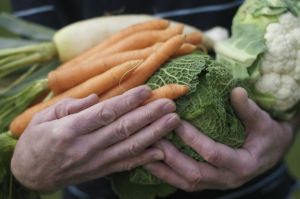 160407131515_verduras_624x415_thinkstock_nocredit