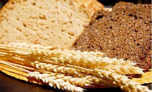 alimentos-integrales_n-672xXx80