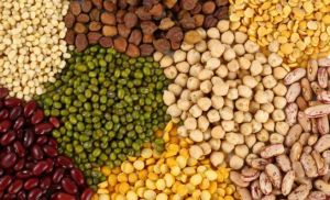 legumbres_nor-672xXx80